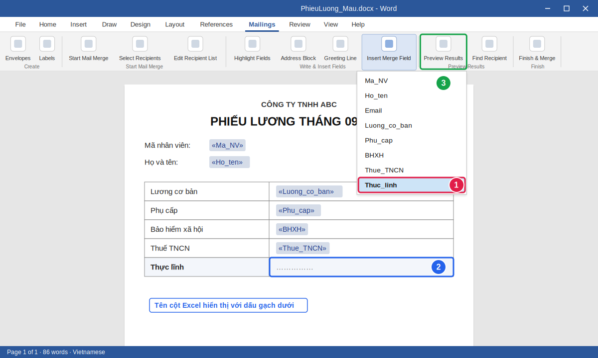 Chèn trường dữ liệu bằng Insert Merge Field khi trộn thư phiếu lương